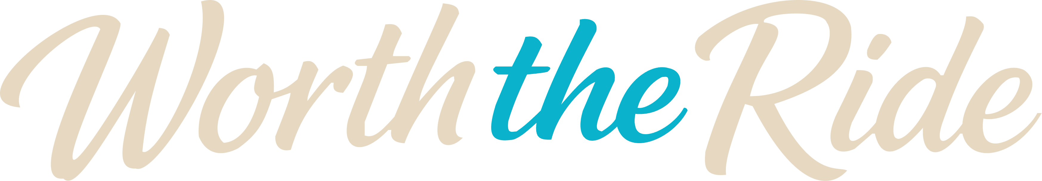 WorththeRide